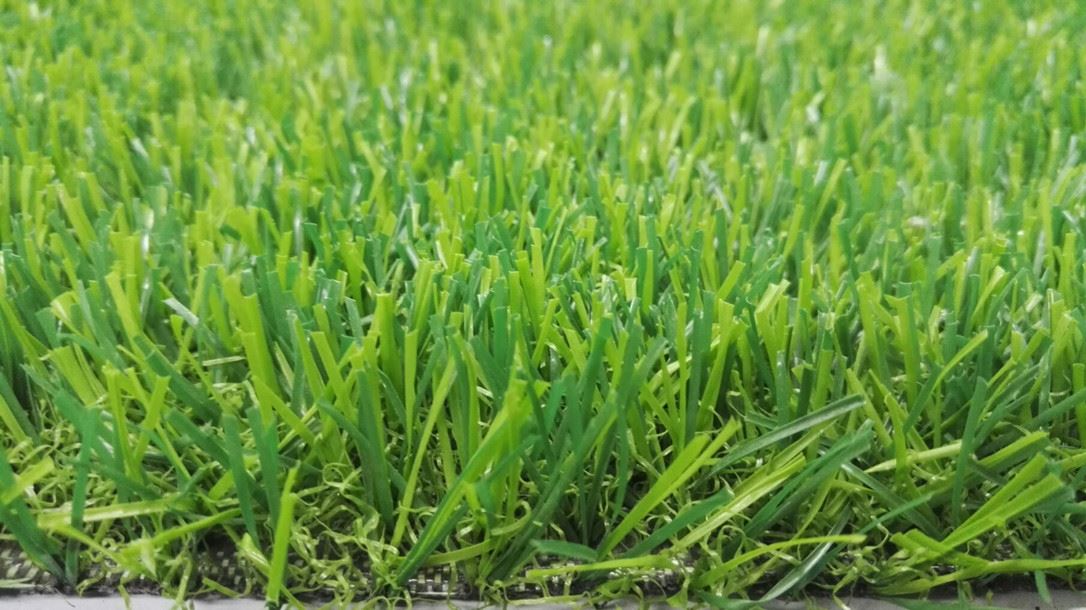 thatch grass