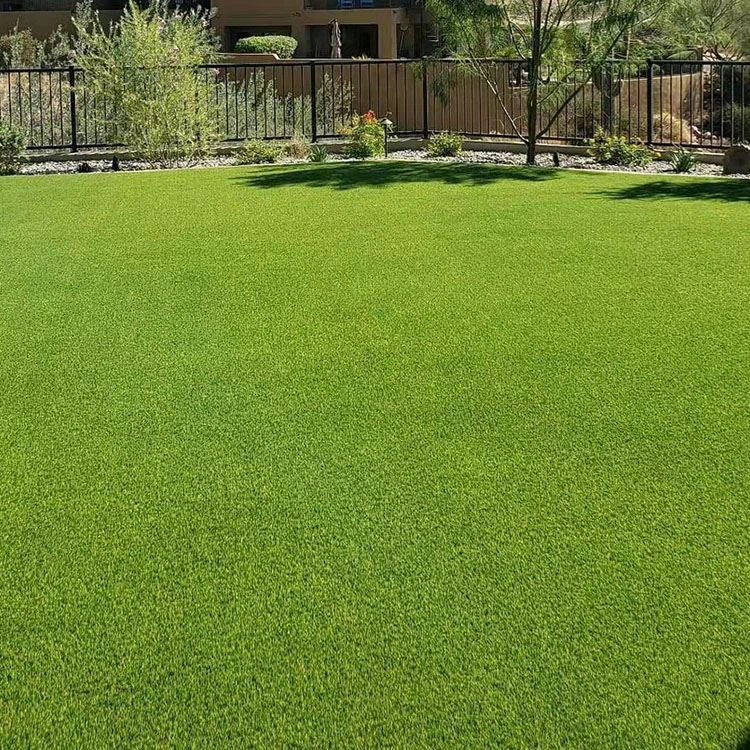 Manfaat Memasang SyntheticTurf