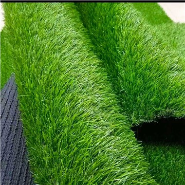 Rumput Buatan Cocok Untuk Anjing