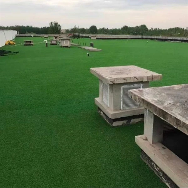 frontyard roof grass